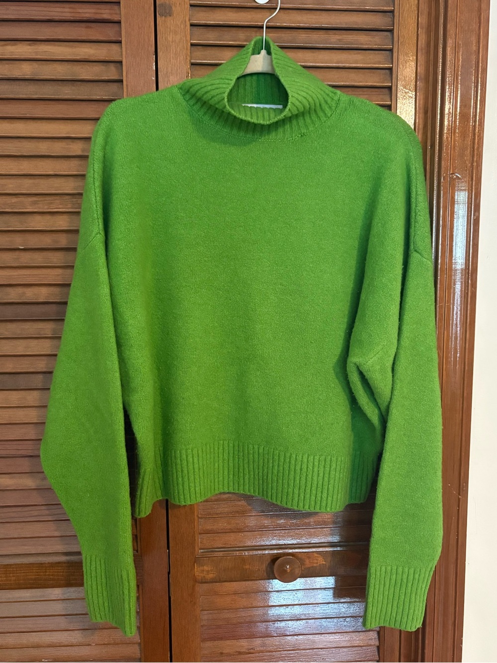 Zara Green Turtleneck Sweater